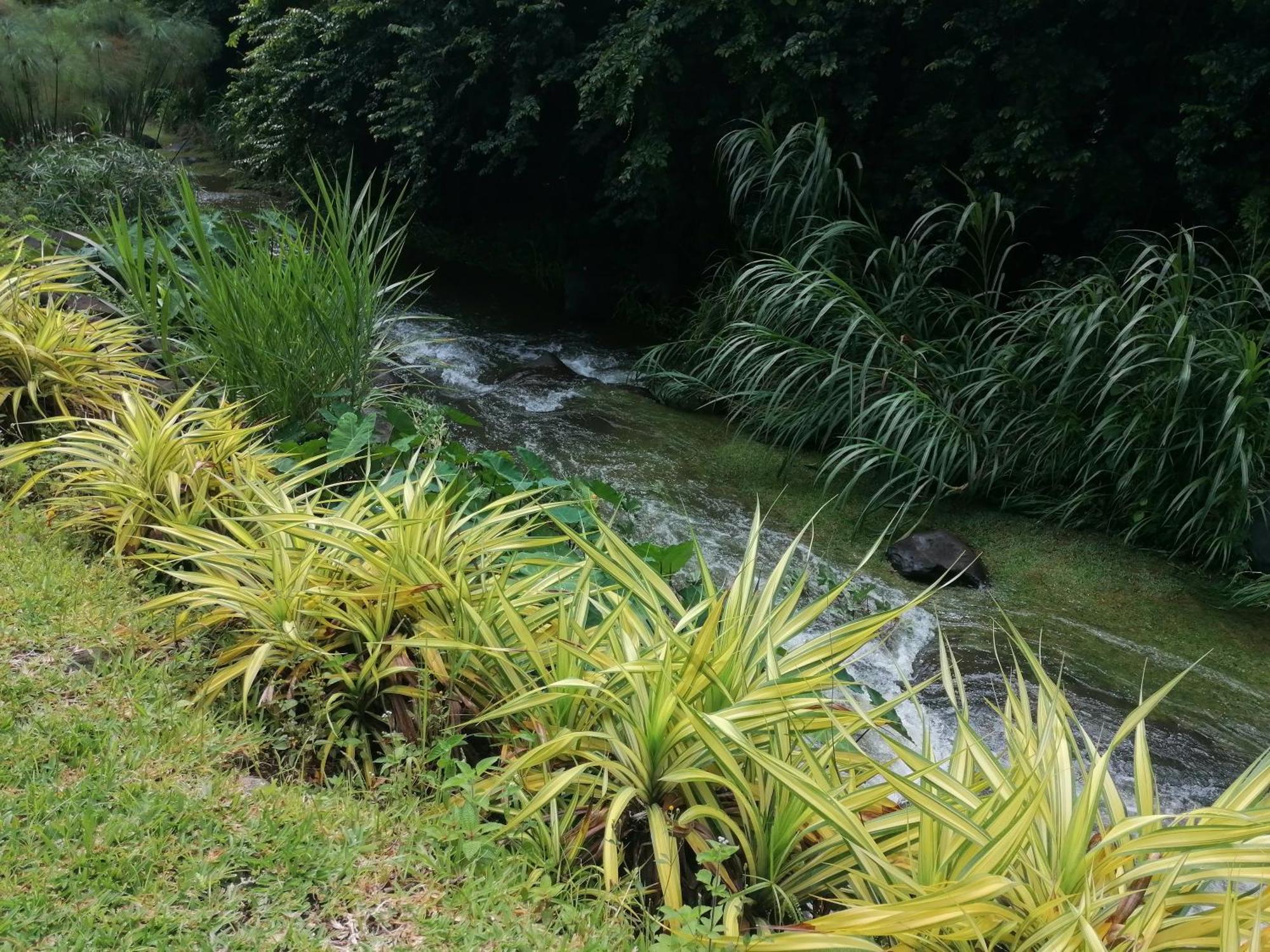 Вилла Le Domaine De Jade Riviere du Mat-les Hauts Экстерьер фото